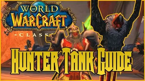 What is the best dungeon tank wow classic?