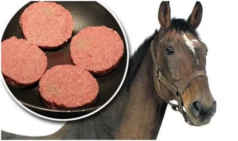 Why is horse meat illegal?