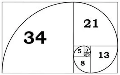 How does the fibonacci spiral work?