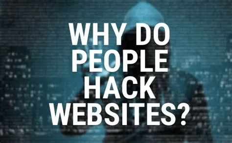 What are 5 reasons people hack?