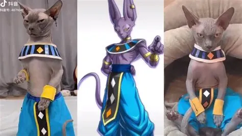 Is lord beerus real?