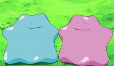 What happens if ditto fights ditto?