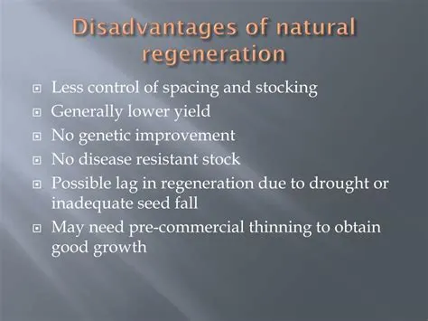 What is the disadvantage of regeneration?