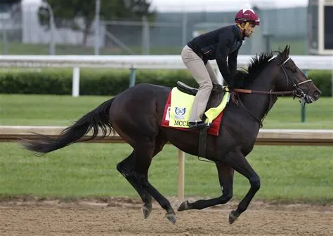 What would a 100 bet on the kentucky derby?