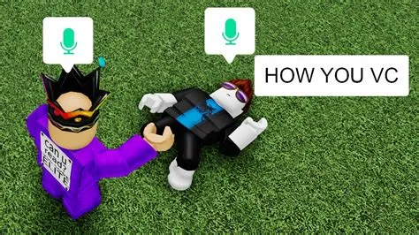 Can you talk roblox mic?