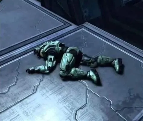 Who does master chief sleep with in halo?