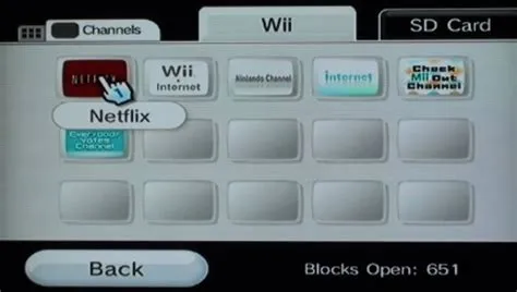 Did they remove netflix from wii u?