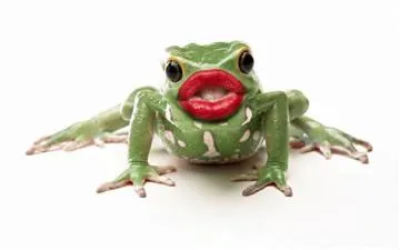 Do frogs have lips?