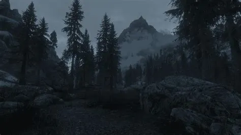 Is skyrim se 32 bit?