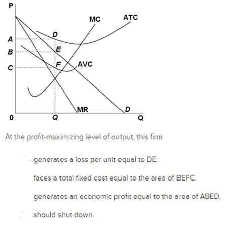 Is electricity a pure monopoly?