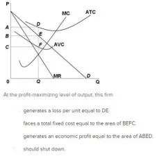 Is electricity a pure monopoly?