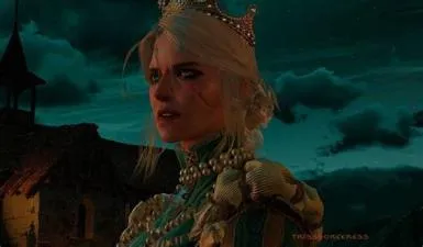 Does ciri want to be a witcher or empress?