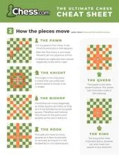 What is 40 moves chess?