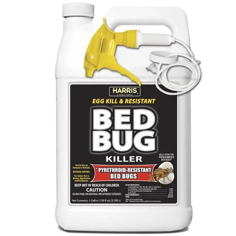 What instantly kills bed bugs?