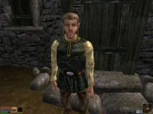 Why do people prefer morrowind?