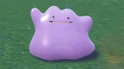 Where is the best ditto in scarlet?