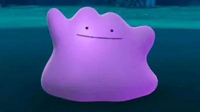 Can you get ditto in an egg?