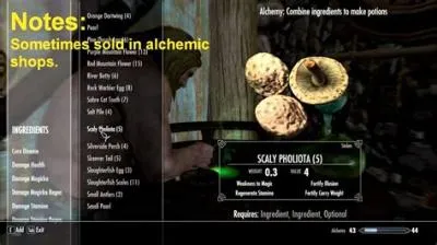 How do i fix my health in skyrim?