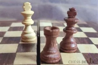 Is there a draw in chess if only king left?