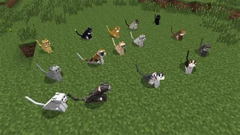 What are all 11 cats in minecraft?