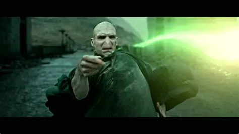 Who killed voldemort at last?