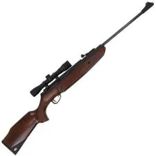 Is .177 air rifle legal in india?