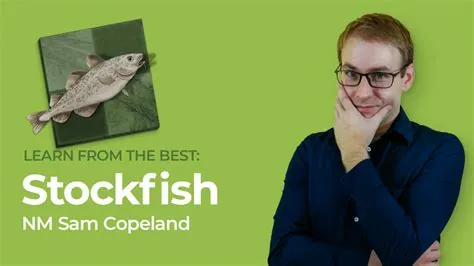 Does stockfish learn?