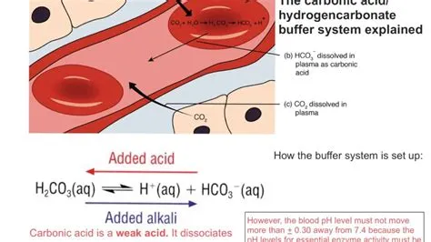 Is blood a buffer?