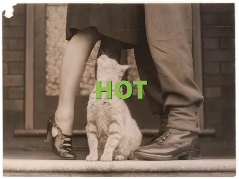 What is hot in slang?