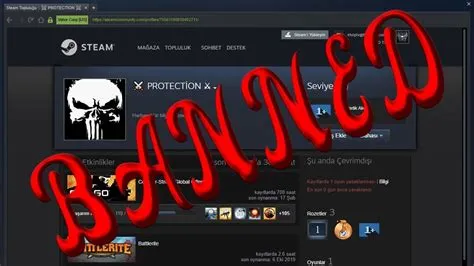 What is the difference between vac ban and overwatch ban?