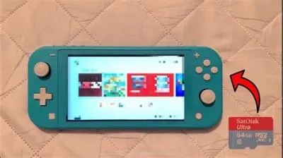 Can you transfer games with an sd card to a new switch?