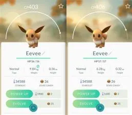 Why is level 40 important in pokemon go?