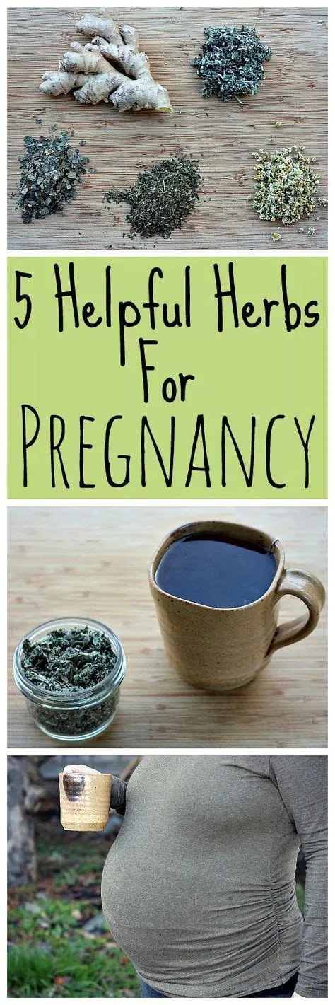 Which herb can i use to get pregnant?