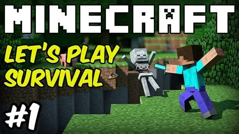 Can i play minecraft single-player?