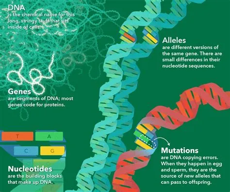 Do mutations carry over to ng+?