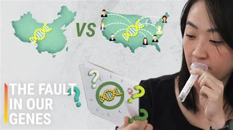 Where did chinese dna come from?