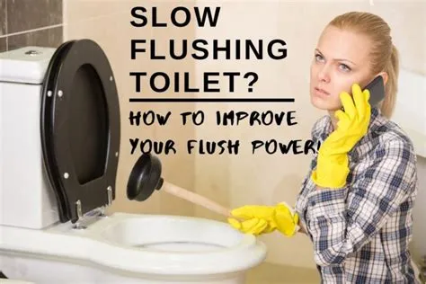 Which flush is better?