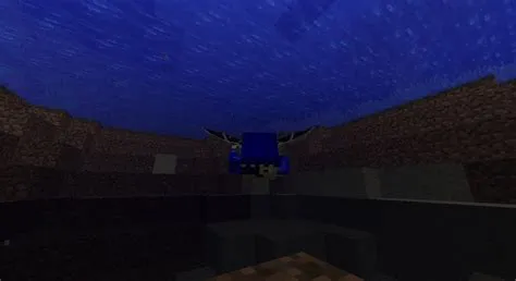 Can you use elytra underwater?