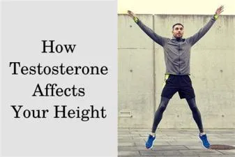 Does testosterone make you taller?