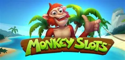 What is a monkey slot?