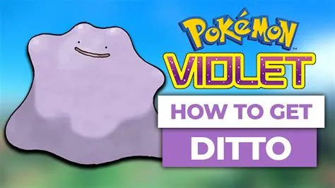 Where is ditto violet?