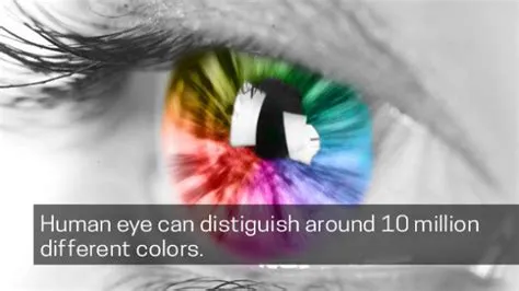 Can human eyes see 20 million colours?