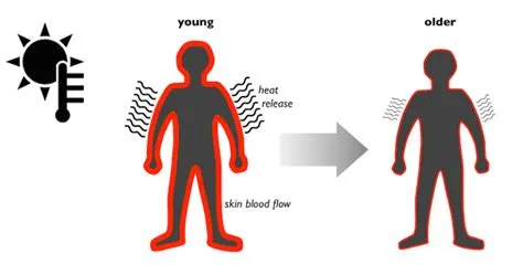 How hot can human skin get?