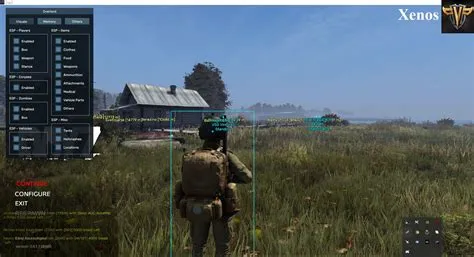 What happens if you cheat in dayz?