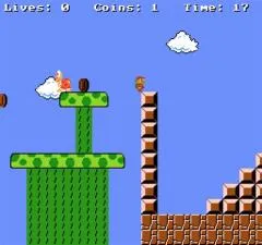 How long are mario levels?