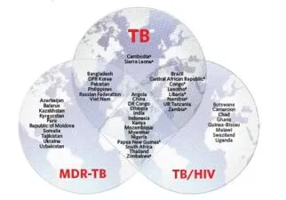 What is the highest gb or tb?