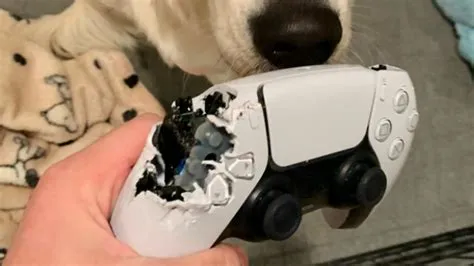 Why does my ps5 controller keep dying?