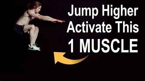 What muscles help you jump?