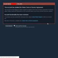 Can steam ban both accounts?