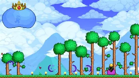 Why can i fly in terraria?